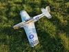 P51 didier